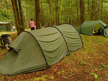 TRIP-134-277.jpg
