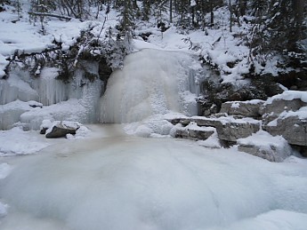 DSC00303.jpg
