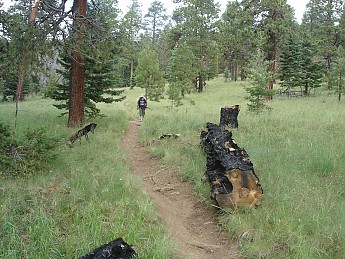 hike-tuesday-wednesday-9-and-10-2011-085