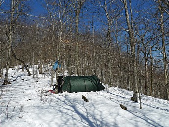 TRIP-120-329.jpg