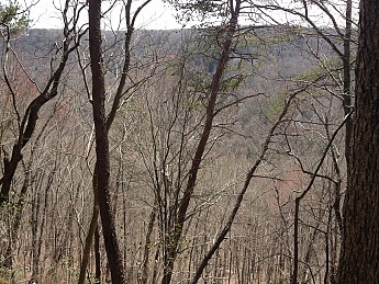 2013-04-06-12-54-24.jpg