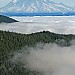Mt Rainer from Goat Mt