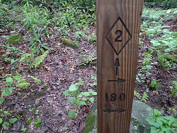 TRIP-134-271.jpg