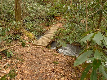 TRIP-120-338.jpg
