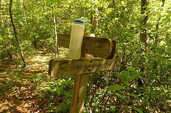 TRIP-134-285.jpg