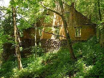 TRIP-134-287.jpg