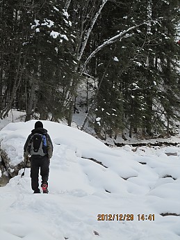 IMG_0078.jpg