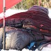 coming soon zerogram sleeping bag - cholatse 1100