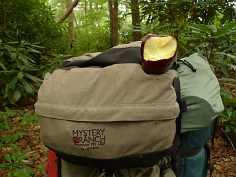 TRIP-125-287.jpg
