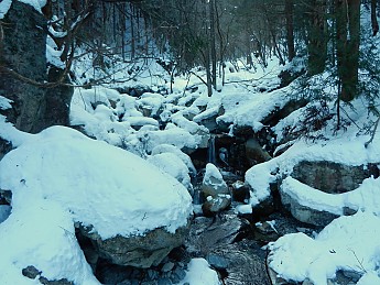 DSCN2099.jpg