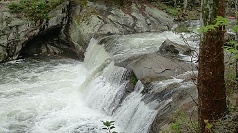 TRIP-121-366.jpg