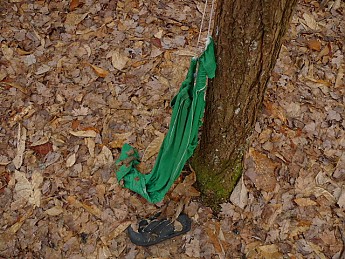 TRIP-120-380.jpg