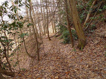 TRIP-120-381.jpg