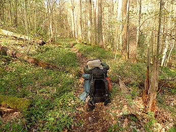TRIP-121-378.jpg