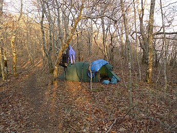 TRIP-120-383.jpg