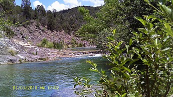 IMAG0003.jpg