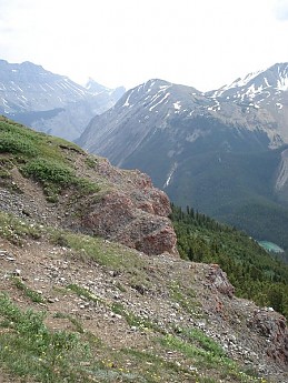 image.jpg