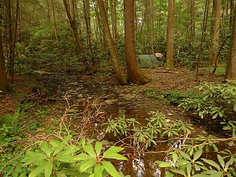 TRIP-134-332.jpg