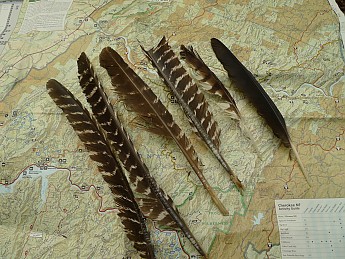 TRIP-134-335.jpg