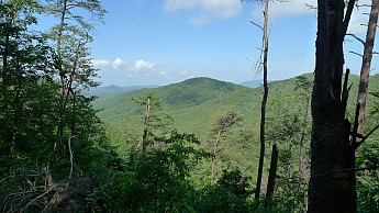 TRIP-134-338.jpg