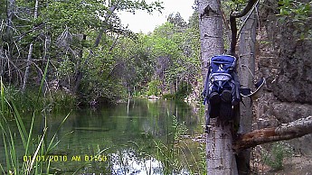 IMAG0013.jpg