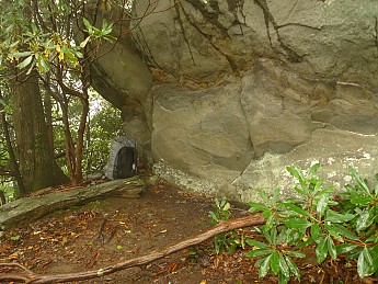 TRIP-125-333.jpg