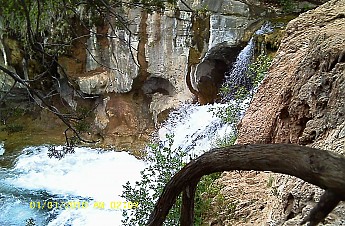 IMAG0016.jpg