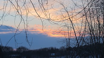 IMG_2416a.jpg