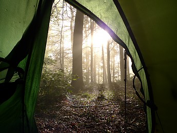 TRIP-125-336.jpg