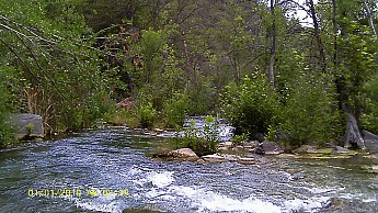 IMAG0021.jpg