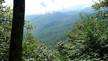 TRIP-125-341.jpg