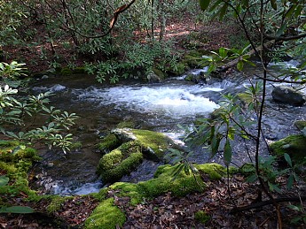 TRIP-121-390.jpg
