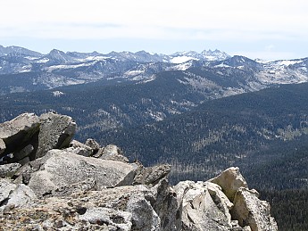 IMG_4470.jpg