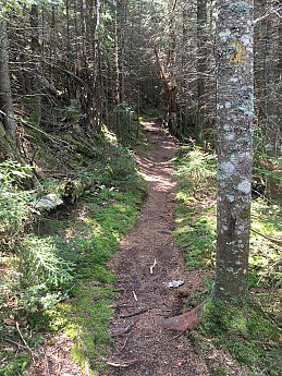 IMG_1744.jpg