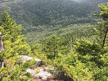 IMG_1746.jpg