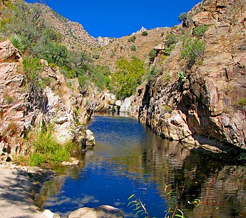 Looking-at-Hutches-Pool-in-Upper-Sabino-