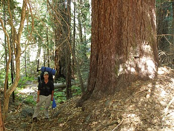 Kings-Canyon-2007-123.jpg