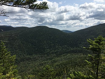 IMG_1747.jpg