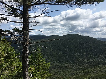IMG_1748.jpg