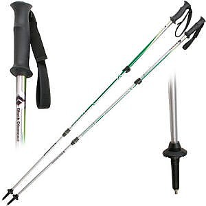 photo: Black Diamond Switchback rigid trekking pole