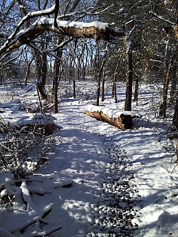20121210_095409.jpg