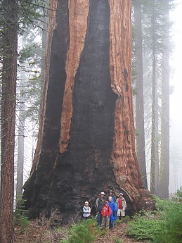 100_0367.jpg