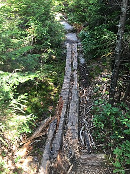 IMG_1750.jpg