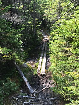 IMG_1751.jpg