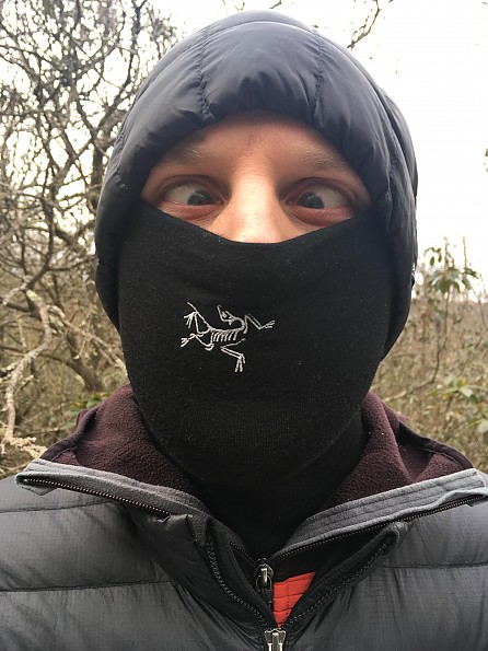 Arc'teryx Rho LTW Neck Gaiter Reviews - Trailspace