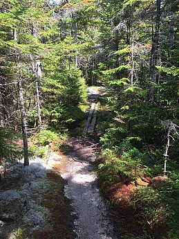 IMG_1752.jpg