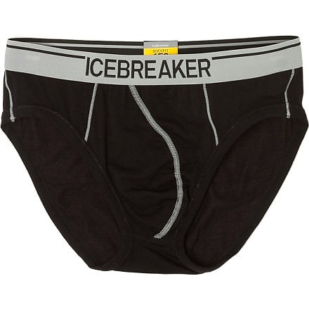 Icebreaker Anatomica Brief