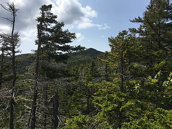 IMG_1753.jpg
