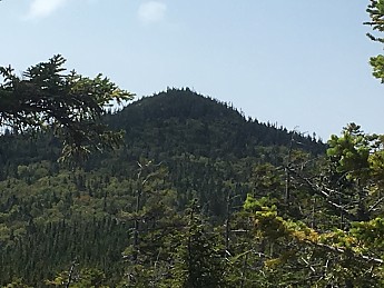 IMG_1754.jpg