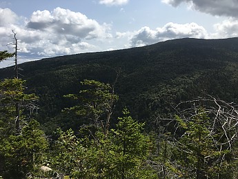 IMG_1756.jpg